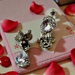 Elegant Silver and Black Earrings